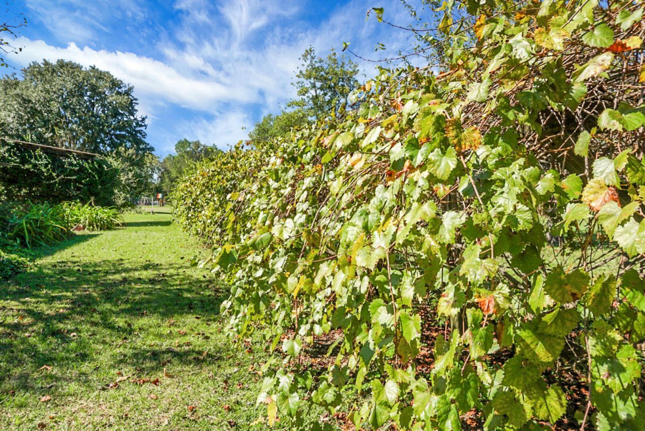 1763 Kingstree Highway Photo 51