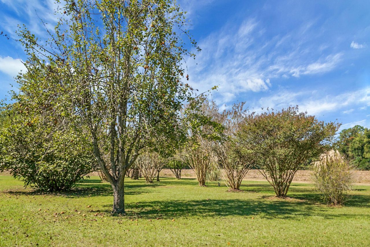 1763 Kingstree Highway Photo 52