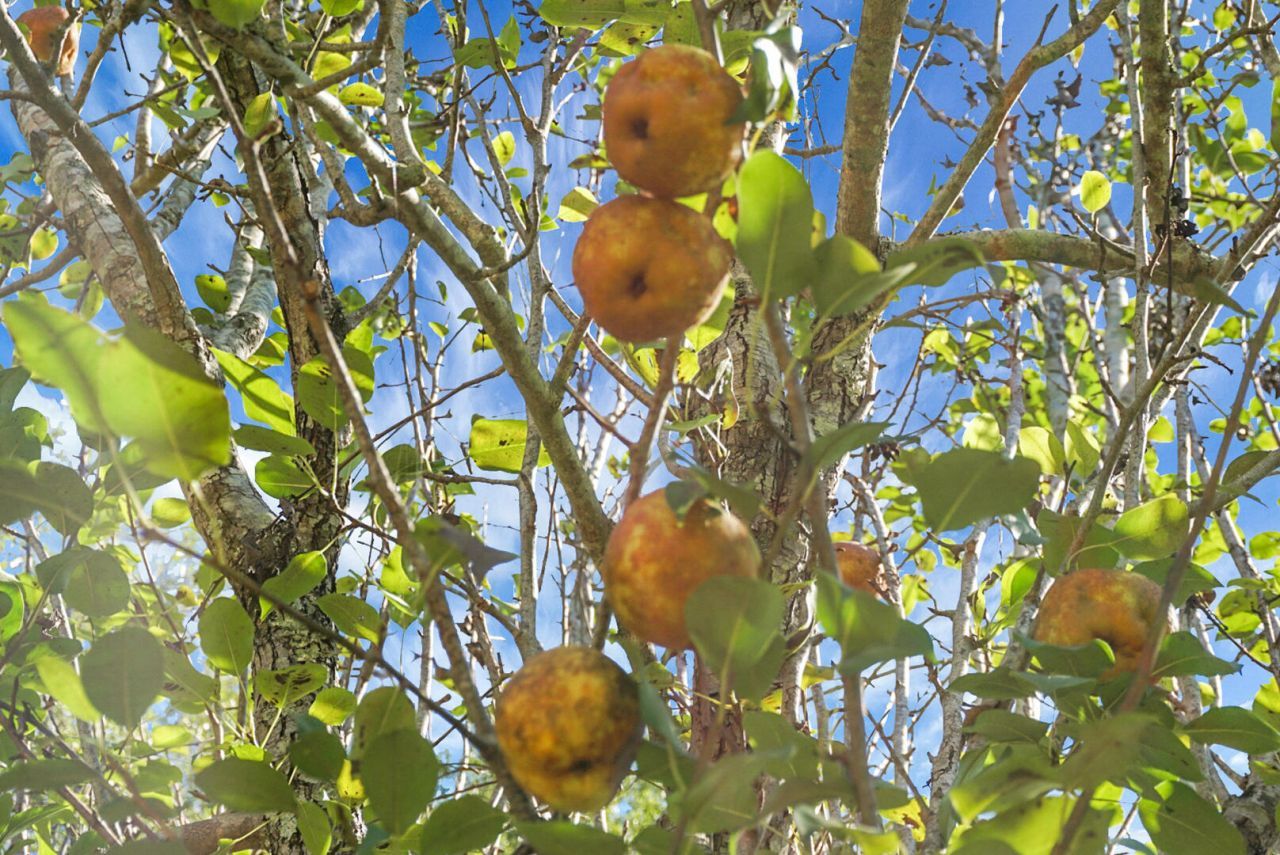 1763 Kingstree Highway Photo 53