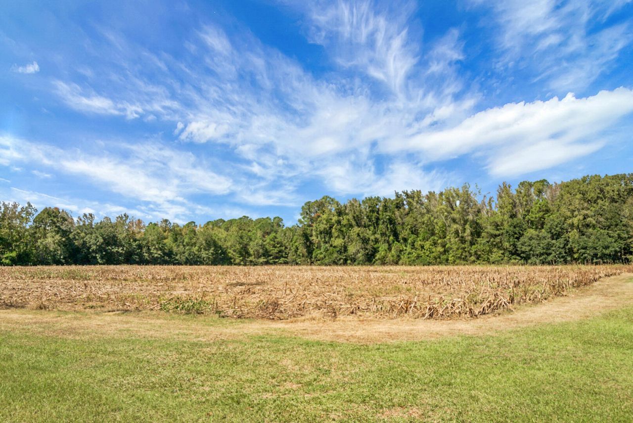 1763 Kingstree Highway Photo 55