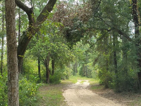 17505 Hansel Hodges Road, Elberta, AL 36530