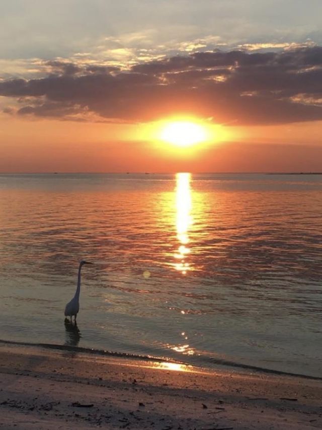 716 Rabbit Rd, Sanibel, FL 33957 Photo