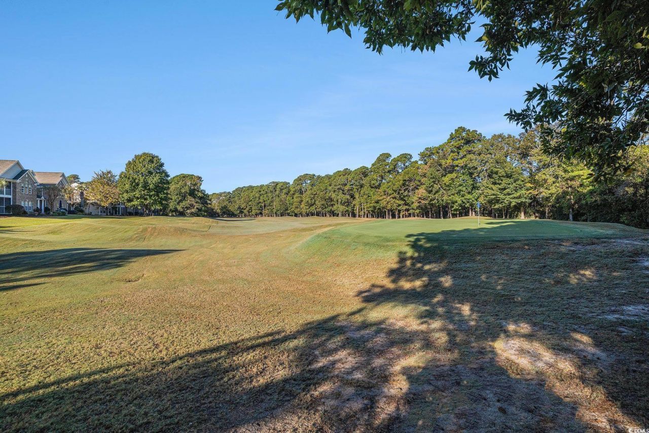 4648 Fringetree Dr. Photo 27