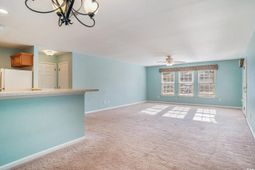 4648 Fringetree Dr. photo 4