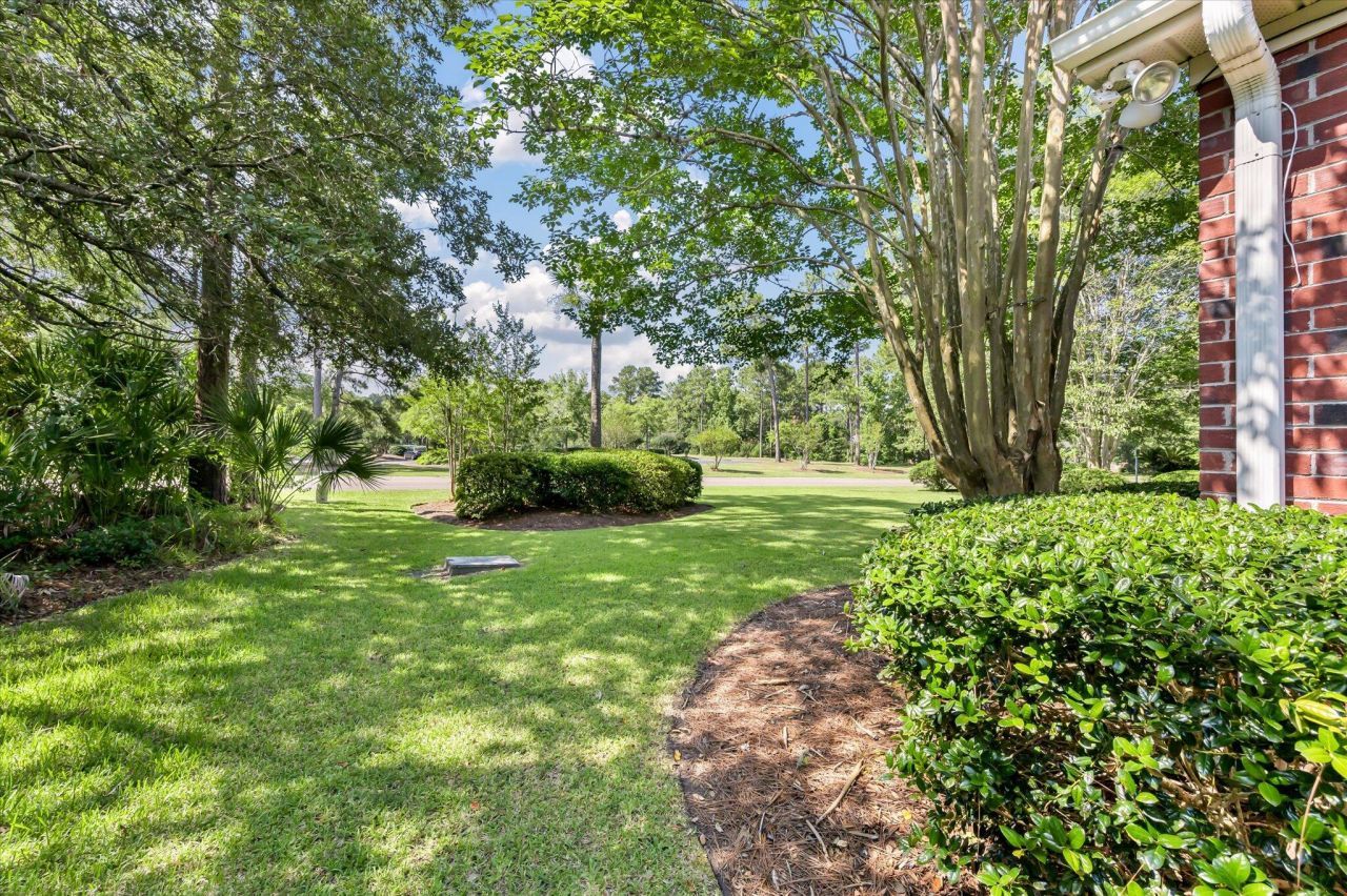 103 Innisbrook Bend Photo 41