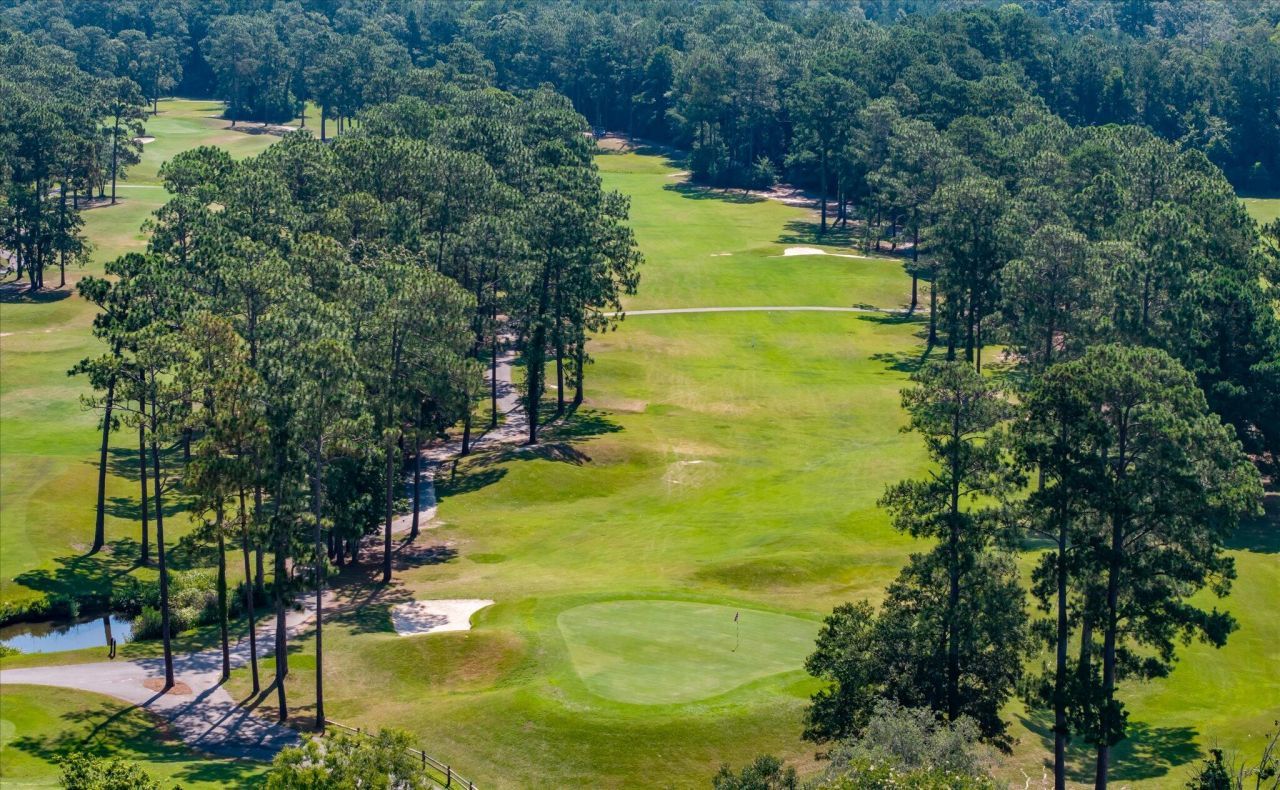 103 Innisbrook Bend Photo 56