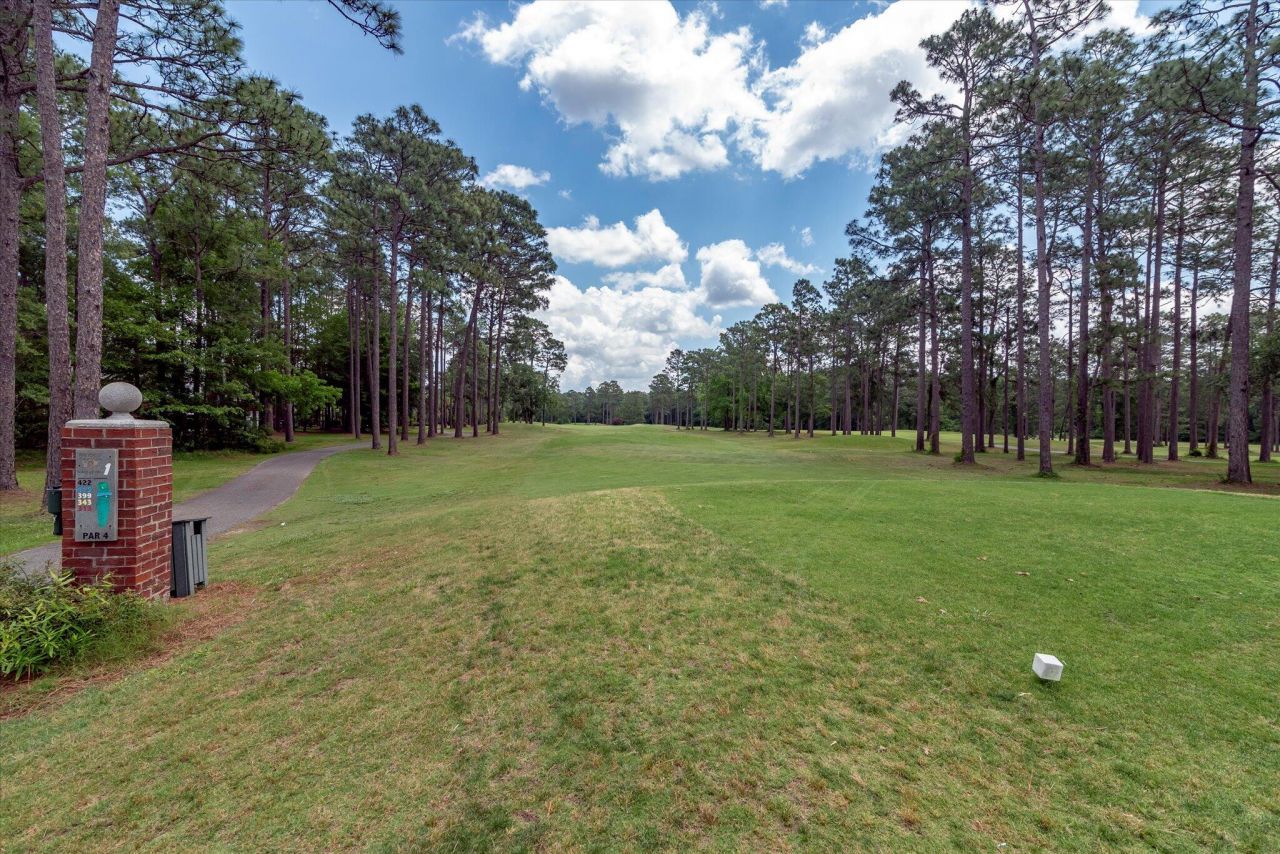 103 Innisbrook Bend Photo 62