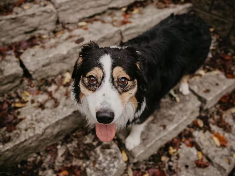 13196 Middlefork Road, Amanda, OH 43102 Photo 87