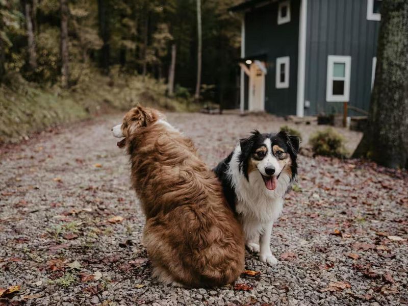 13196 Middlefork Road, Amanda, OH 43102 Photo 89