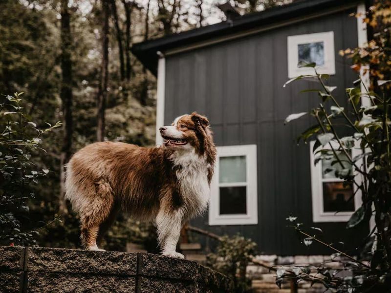 13196 Middlefork Road, Amanda, OH 43102 Photo 90