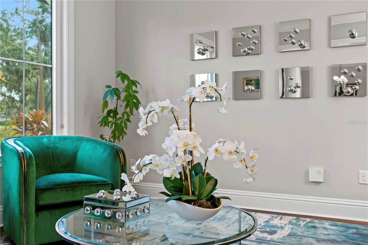 4511 W Swann Avenue, Tampa, FL 33609 Photo