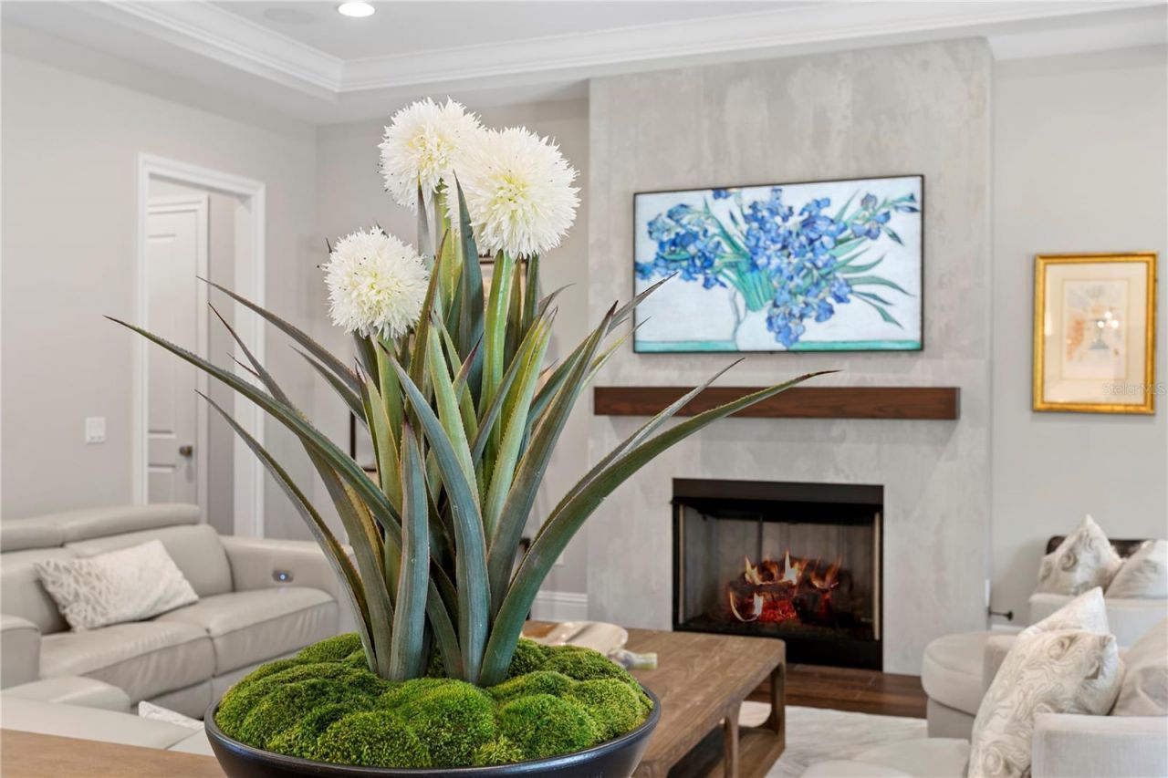 4511 W Swann Avenue, Tampa, FL 33609 Photo