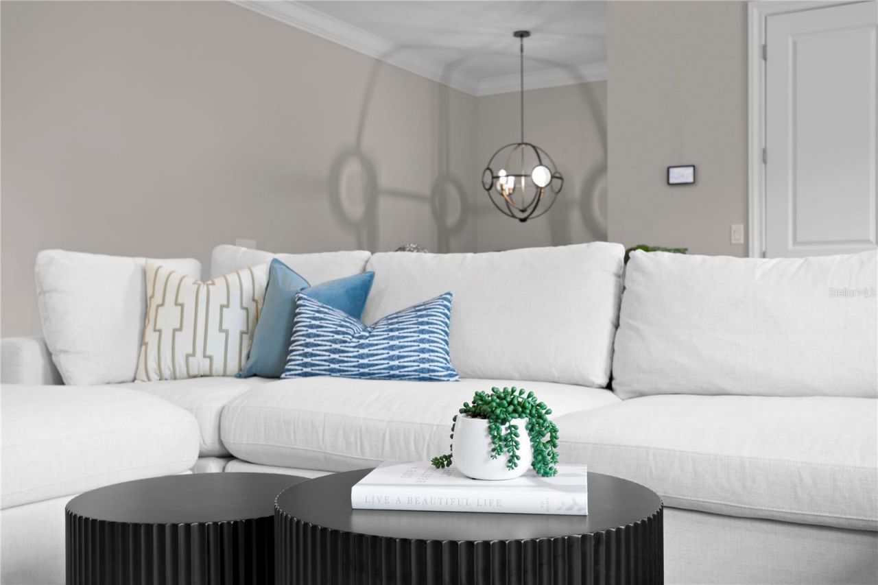 4511 W Swann Avenue, Tampa, FL 33609 Photo