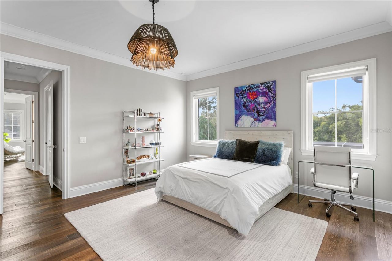 4511 W Swann Avenue, Tampa, FL 33609 Photo