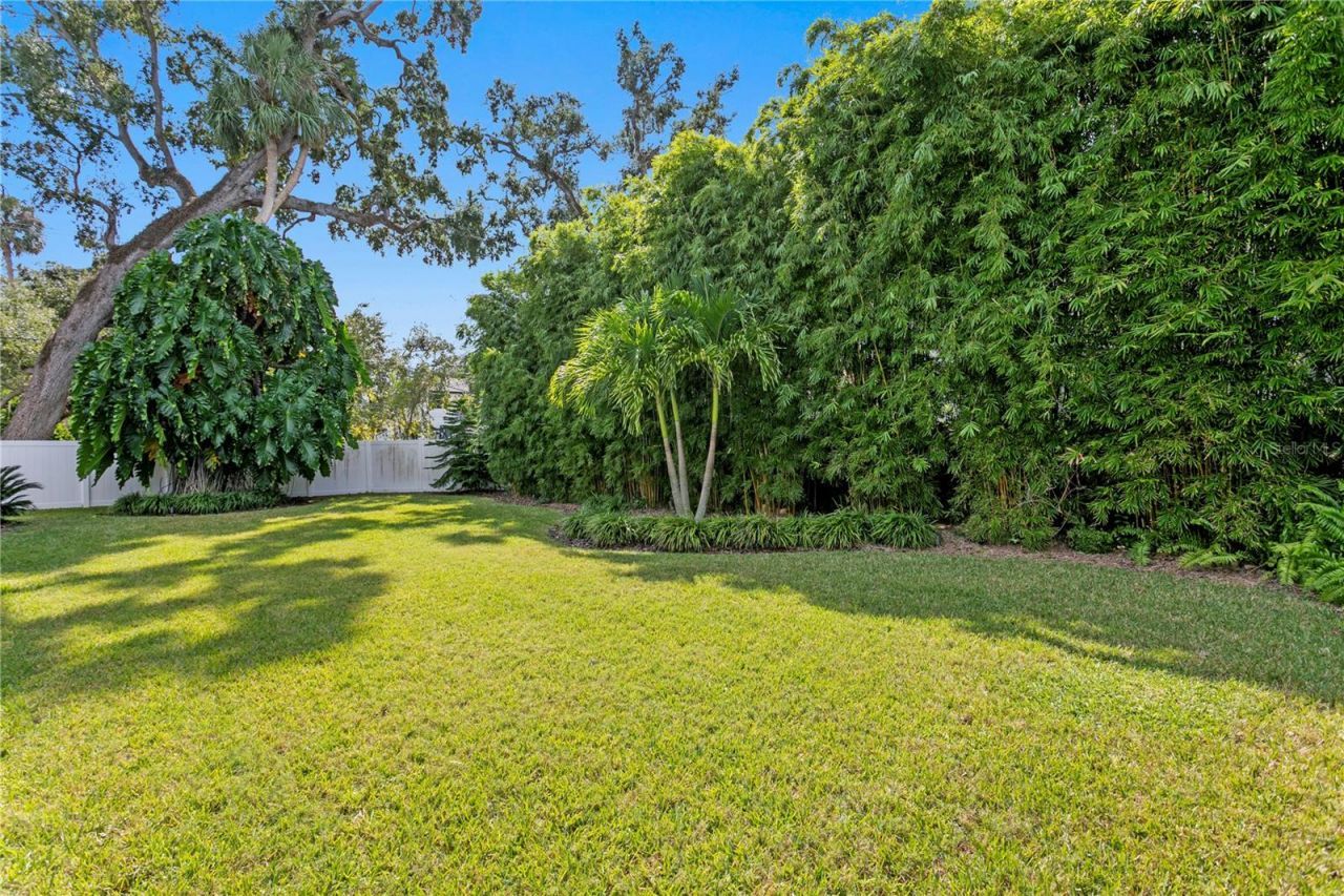 4511 W Swann Avenue, Tampa, FL 33609 Photo