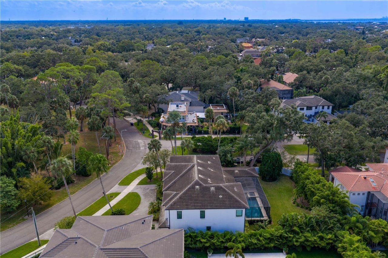 4511 W Swann Avenue, Tampa, FL 33609 Photo