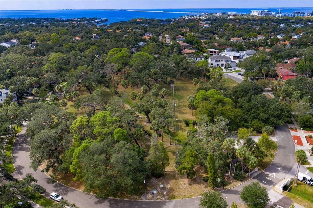 4511 W Swann Avenue, Tampa, FL 33609 Photo