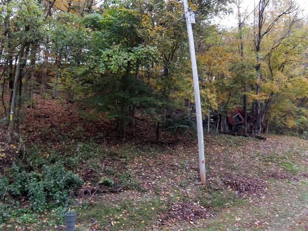 Lots 9-11 Woodland Drive , Cub Run, KY 42729