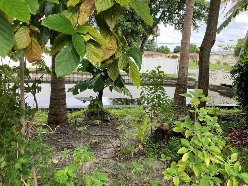 3501 NW 32nd Street, Lauderdale Lakes, FL 33309 Photo