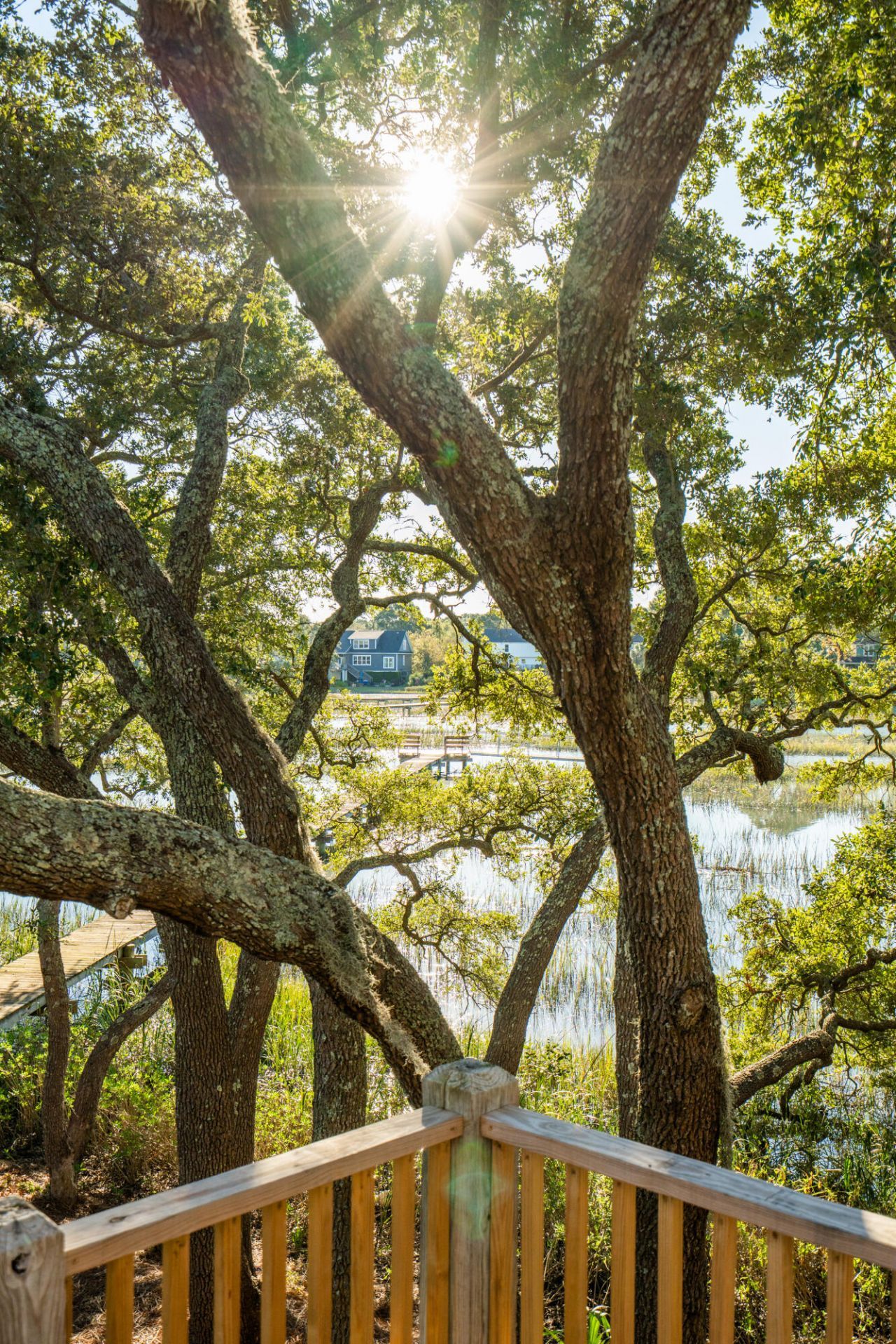 1462 Harborsun Drive Photo 16