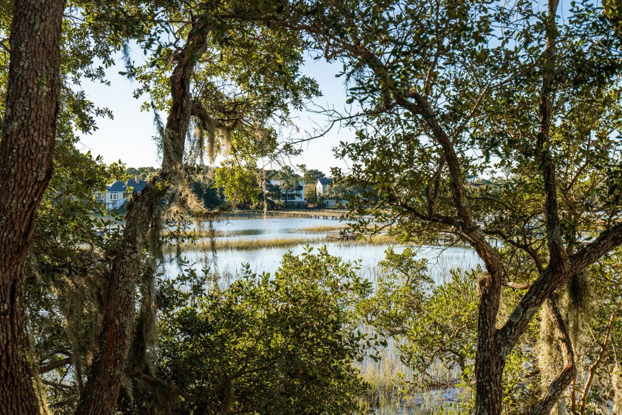 1462 Harborsun Drive Photo 17