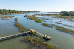 1462 Harborsun Drive photo 4