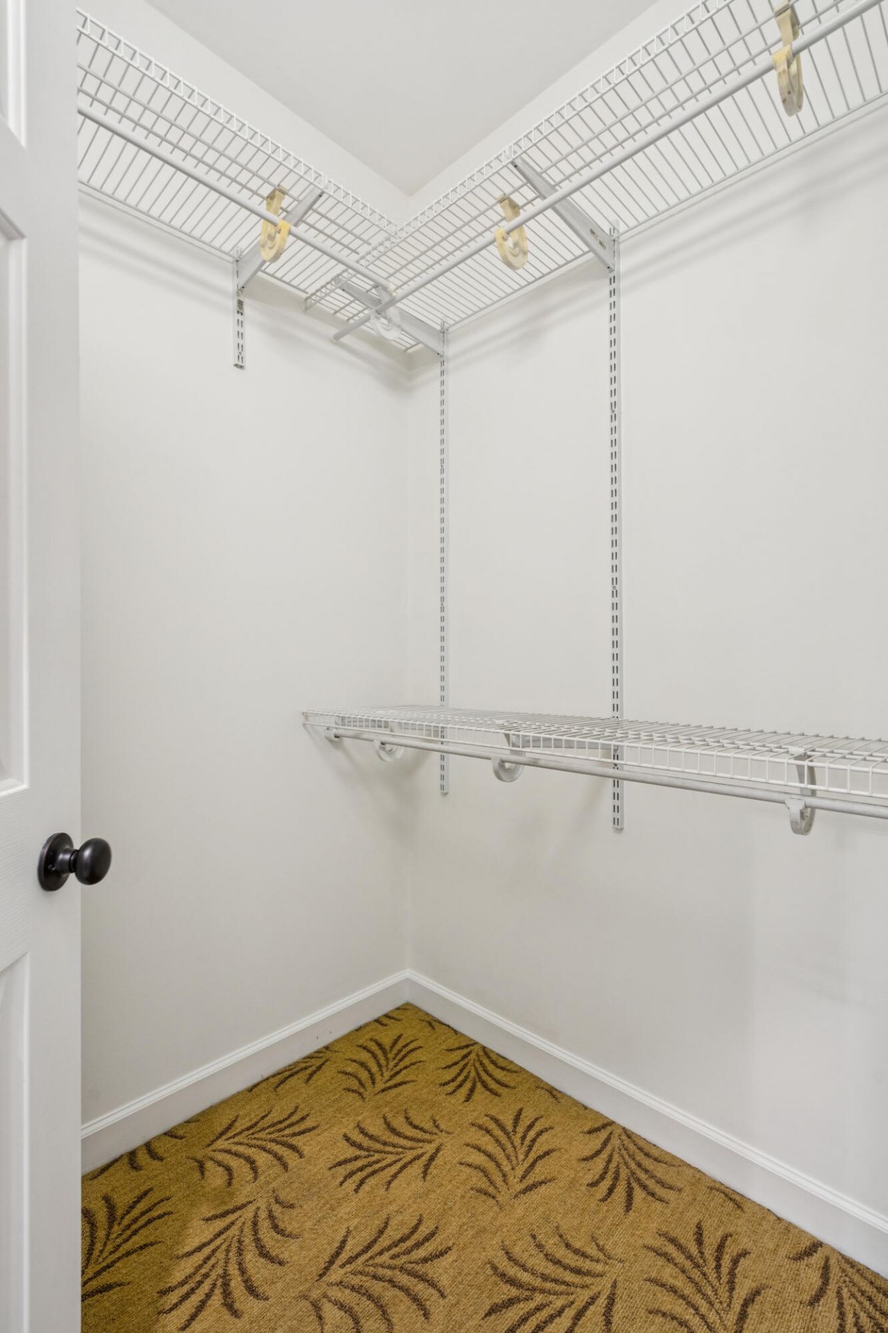 1462 Harborsun Drive Photo 63