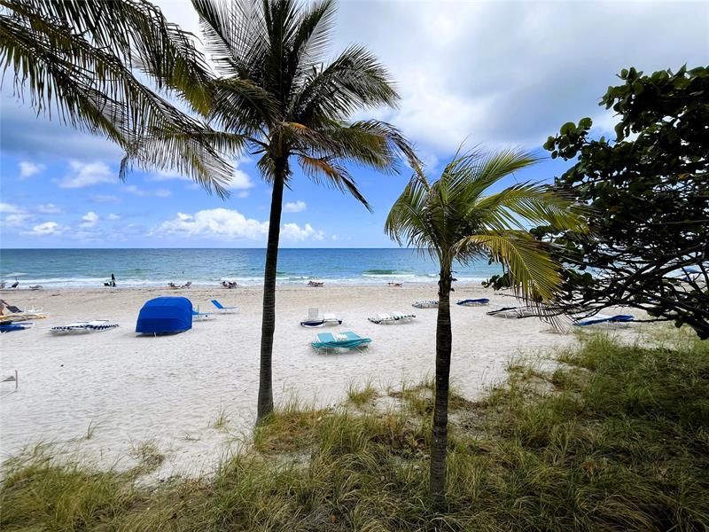 3500 Galt Ocean Drive, Unit 203, Fort Lauderdale, FL 33308 Photo