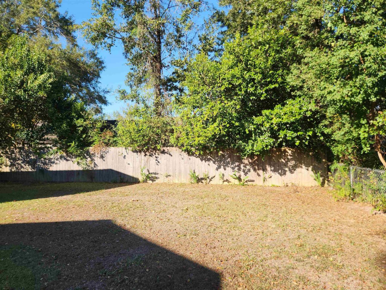 16478 SW Mimosa Street, Blountstown, FL 32424 Photo