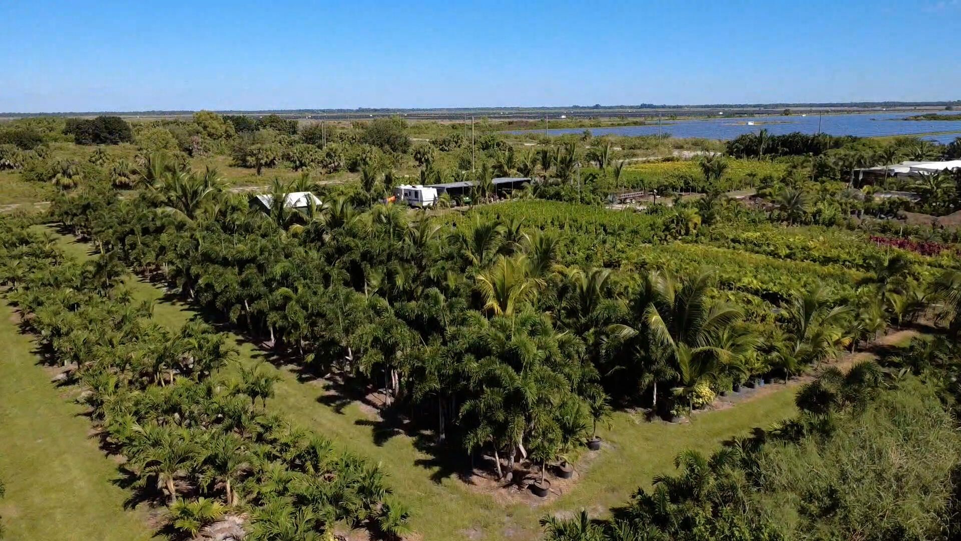 6747 W Carol Street E, Loxahatchee, FL 33470 Photo