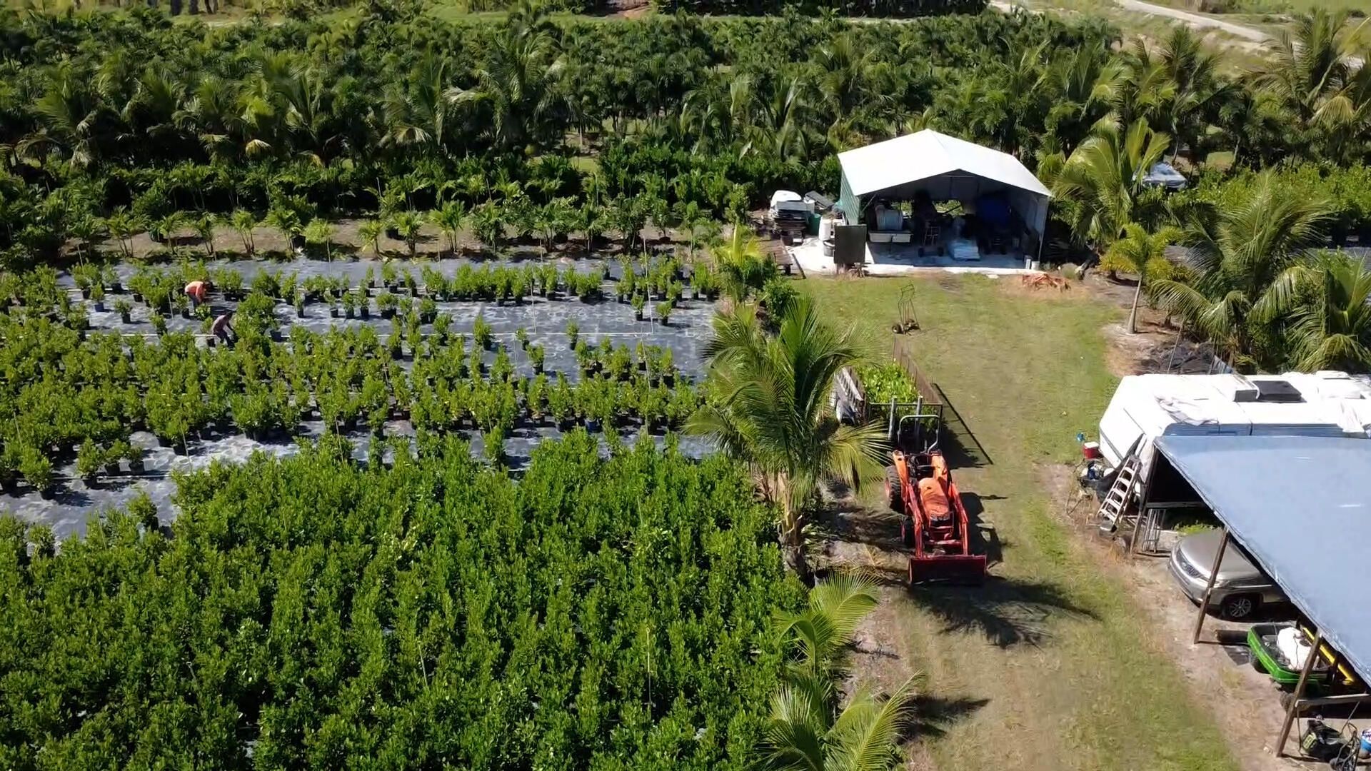 6747 W Carol Street E, Loxahatchee, FL 33470 Photo