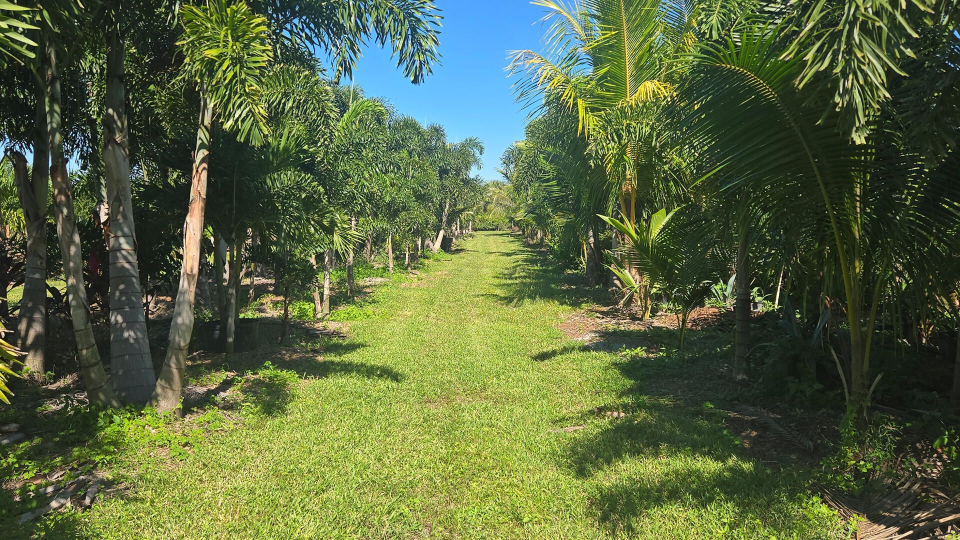 6747 W Carol Street E, Loxahatchee, FL 33470 Photo