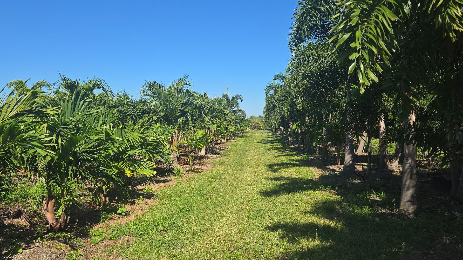 6747 W Carol Street E, Loxahatchee, FL 33470 Photo