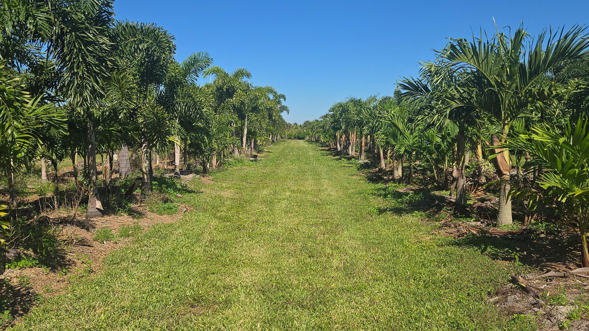 6747 W Carol Street E, Loxahatchee, FL 33470 Photo