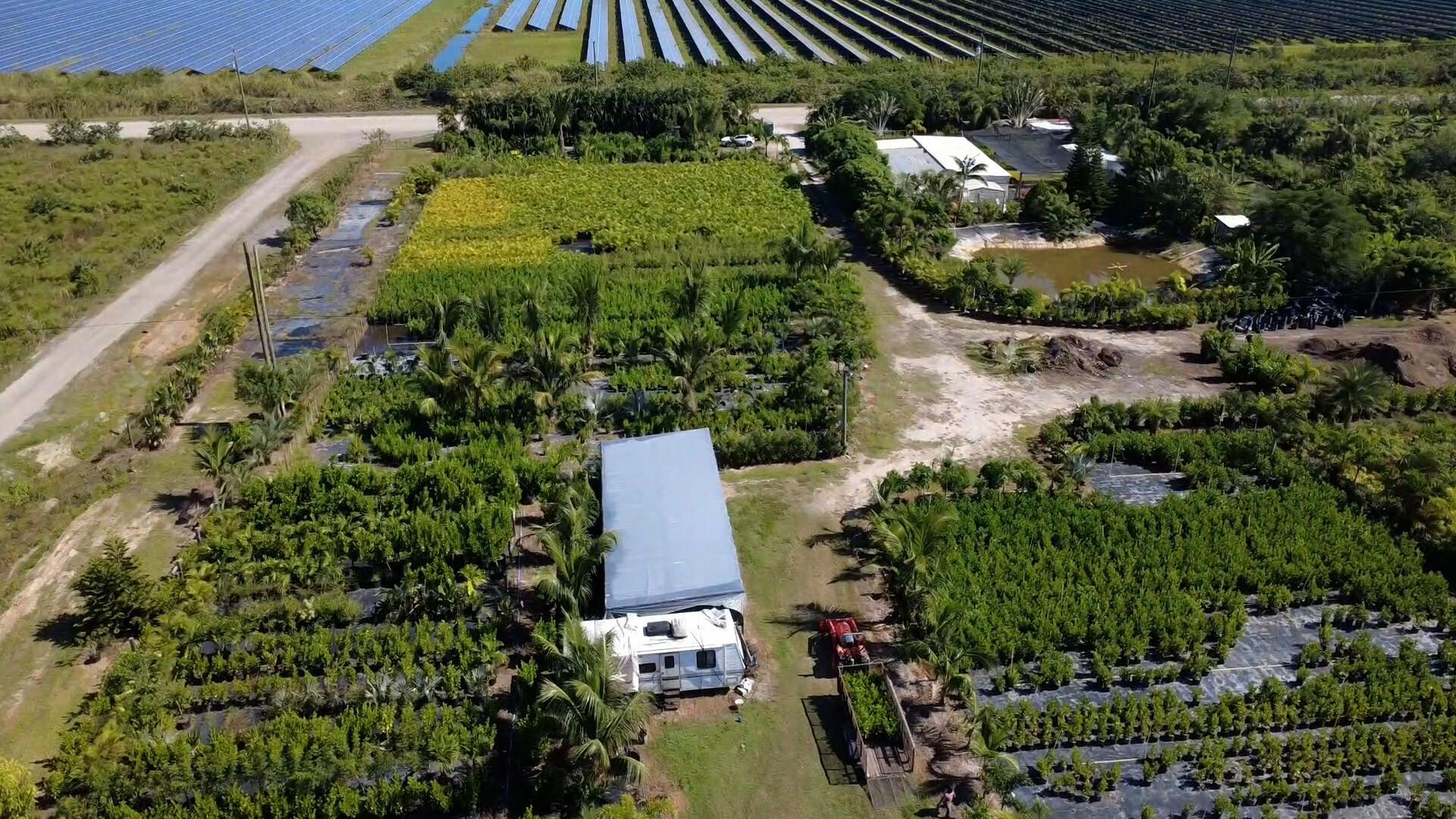 6747 W Carol Street E, Loxahatchee, FL 33470 Photo