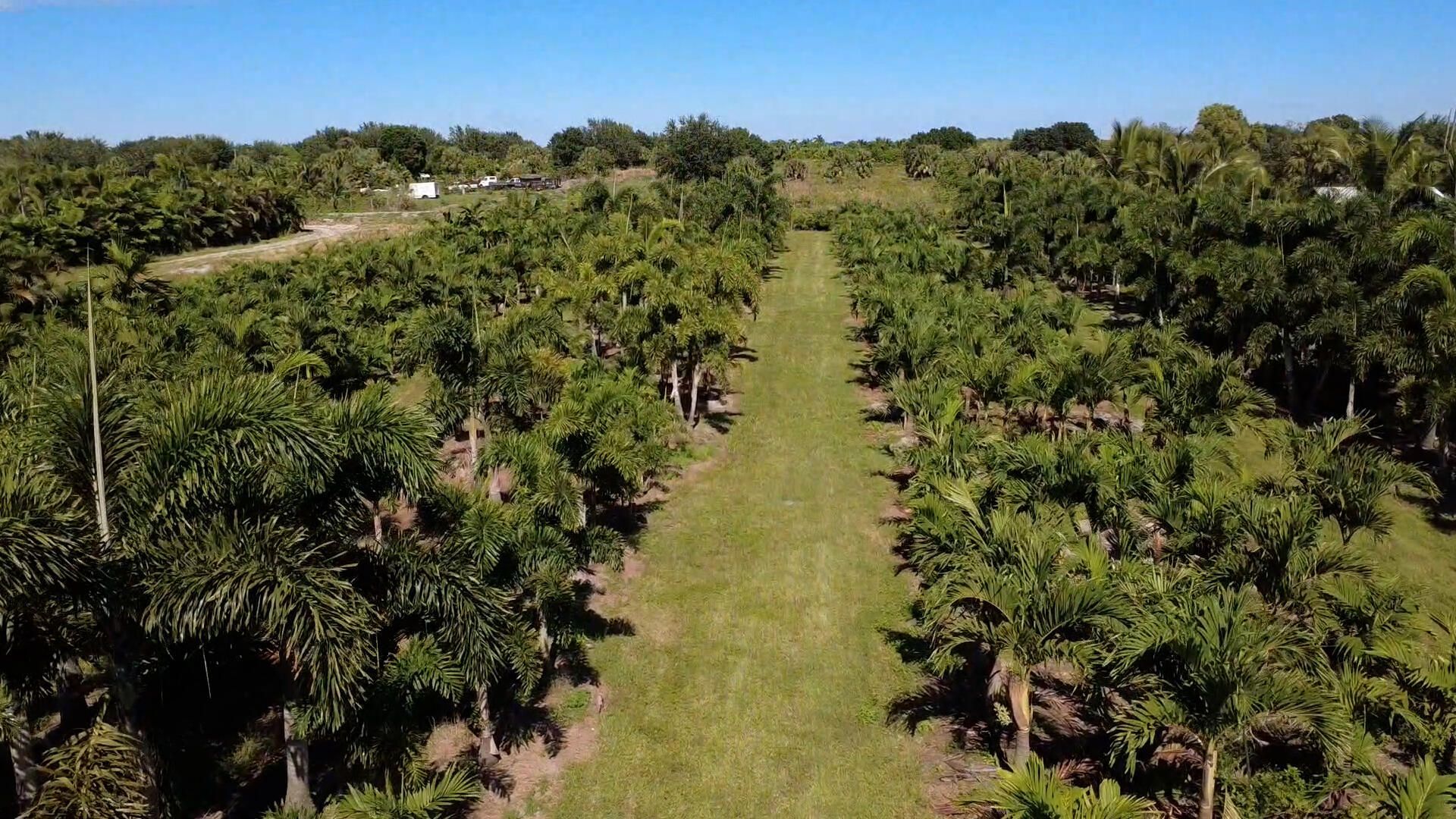 6747 W Carol Street E, Loxahatchee, FL 33470 Photo