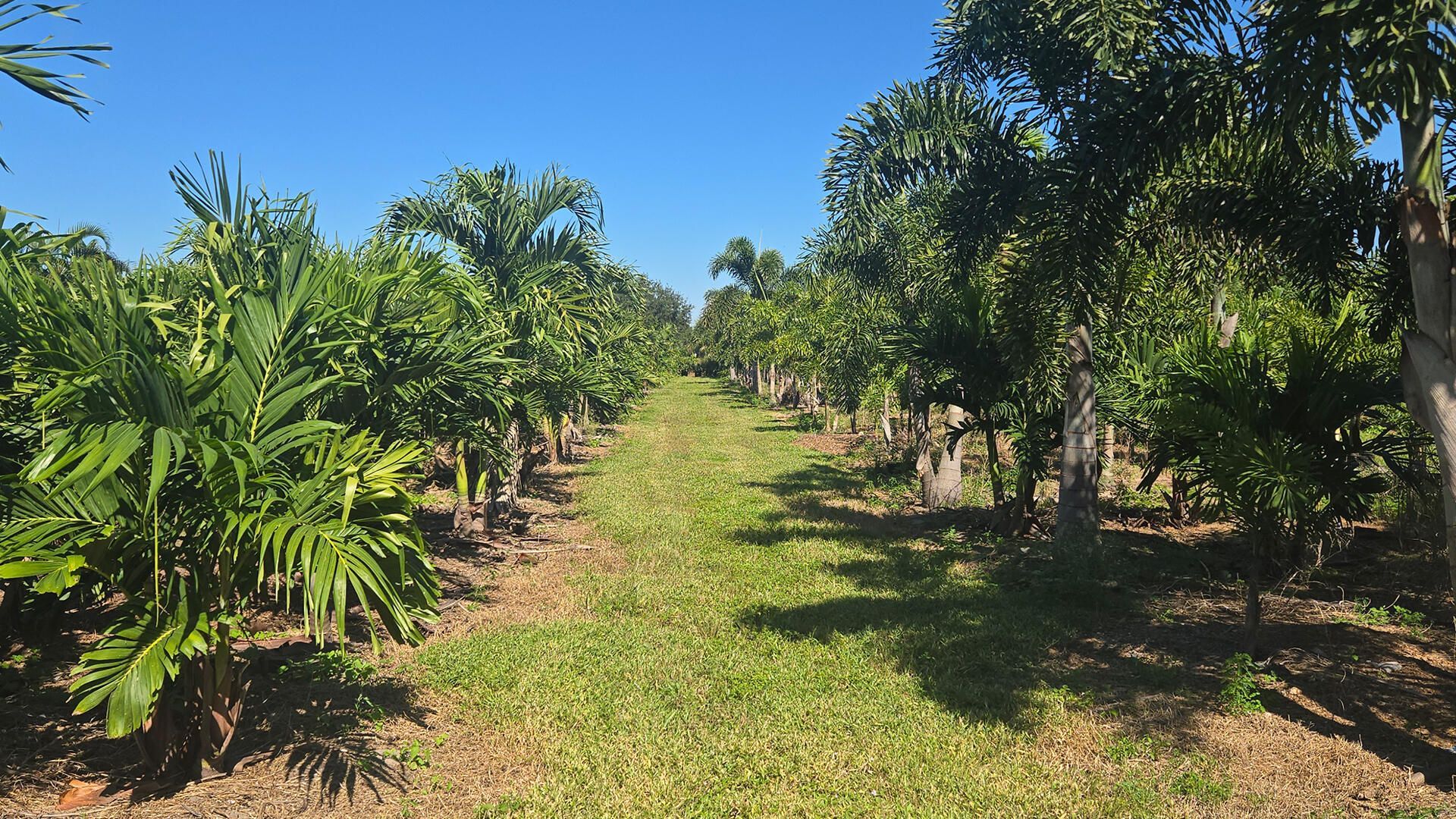 6747 W Carol Street E, Loxahatchee, FL 33470 Photo