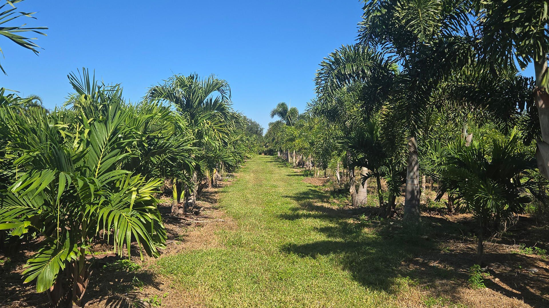 6747 W Carol Street E, Loxahatchee, FL 33470 Photo