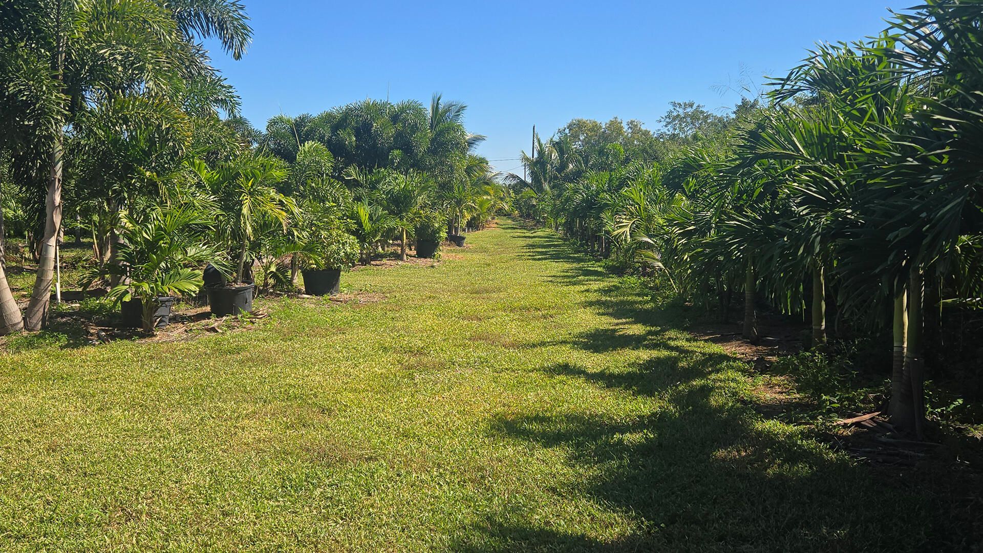 6747 W Carol Street E, Loxahatchee, FL 33470 Photo