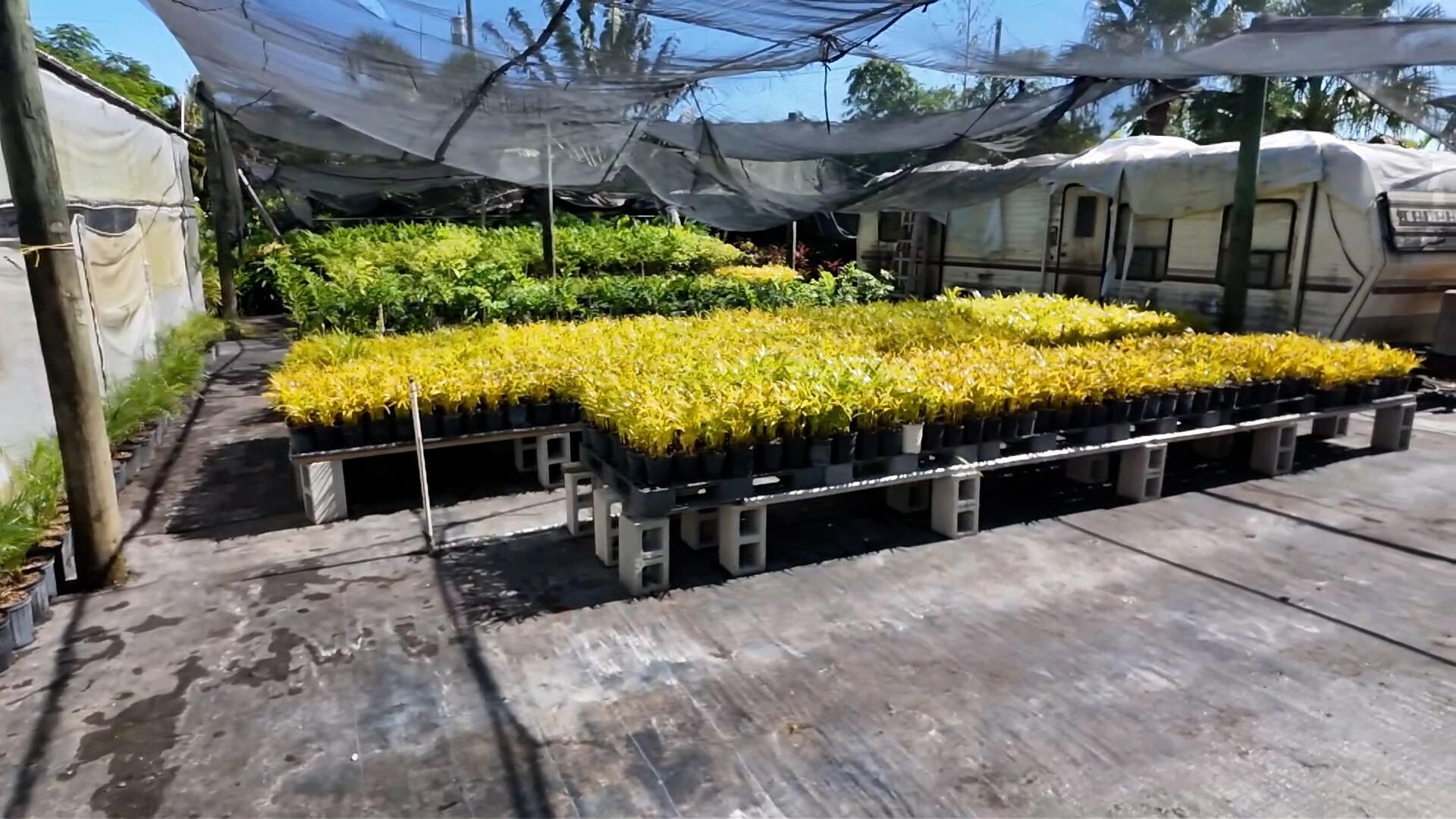 6747 W Carol Street E, Loxahatchee, FL 33470 Photo