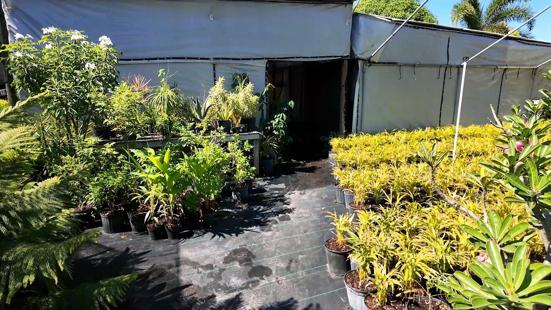 6747 W Carol Street E, Loxahatchee, FL 33470 Photo