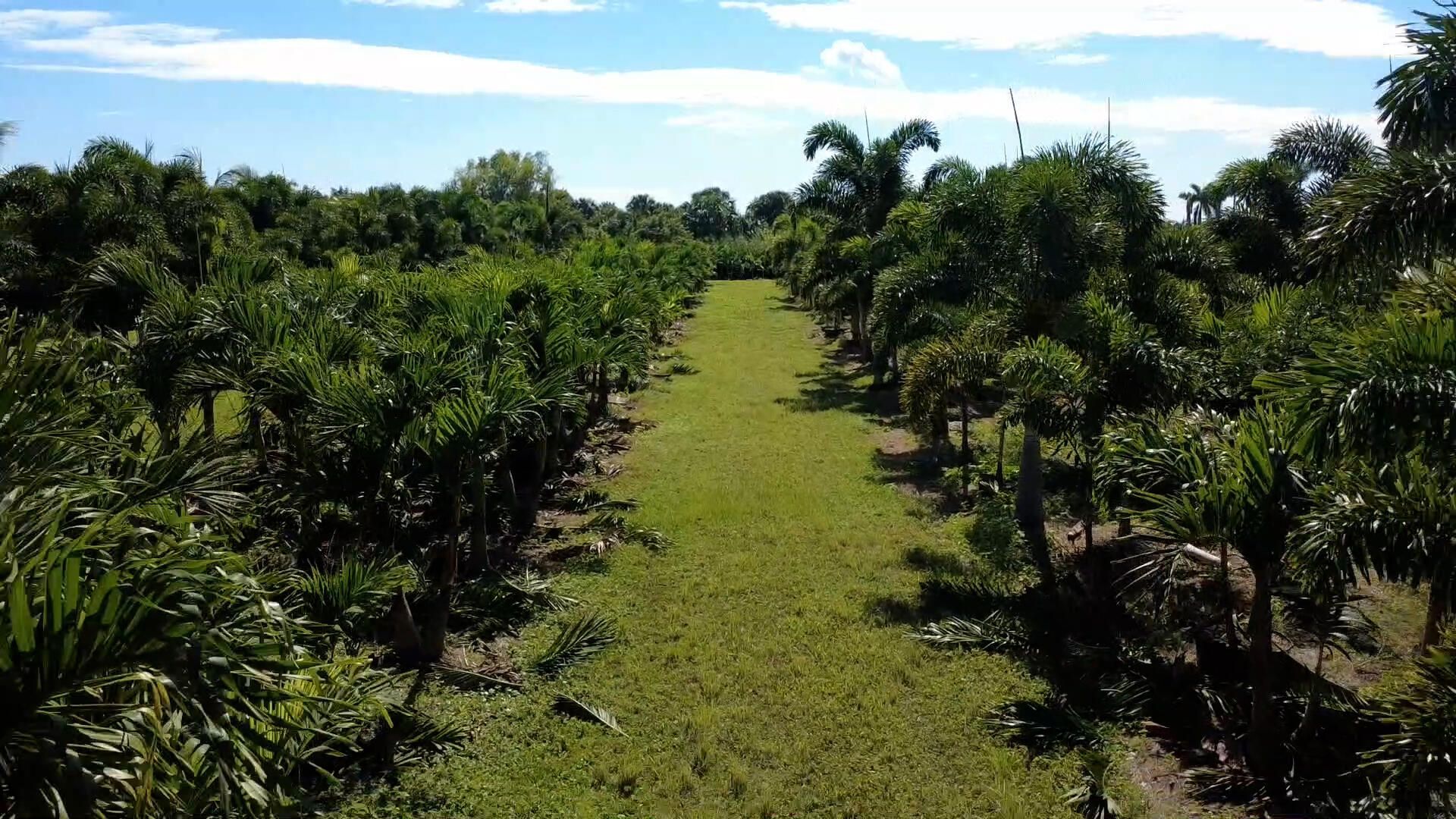 6747 W Carol Street E, Loxahatchee, FL 33470 Photo