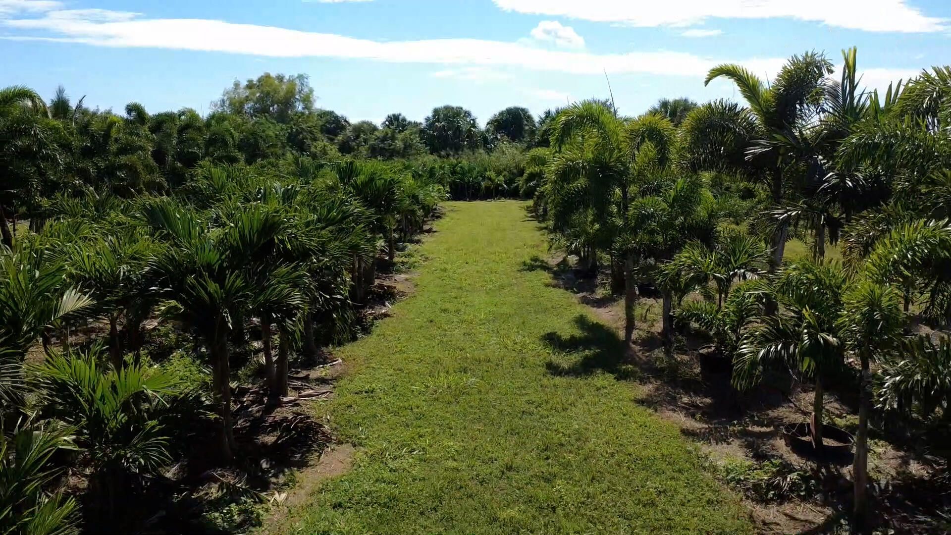 6747 W Carol Street E, Loxahatchee, FL 33470 Photo