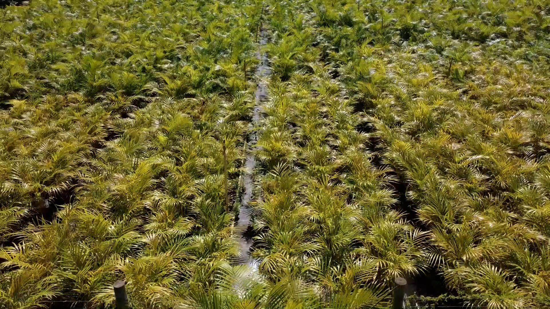 6747 W Carol Street E, Loxahatchee, FL 33470 Photo