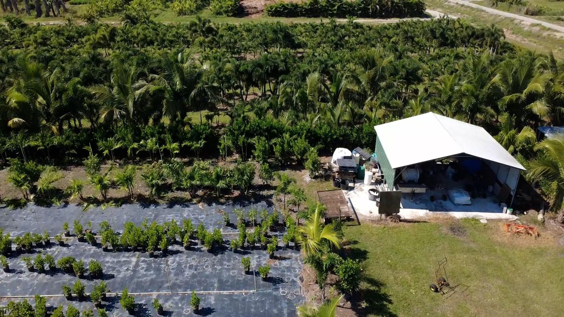 6747 W Carol Street E, Loxahatchee, FL 33470 Photo