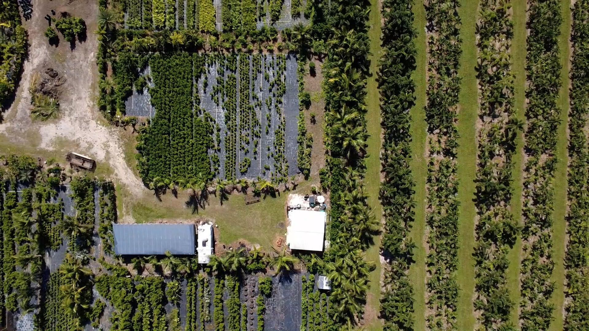 6747 W Carol Street E, Loxahatchee, FL 33470 Photo