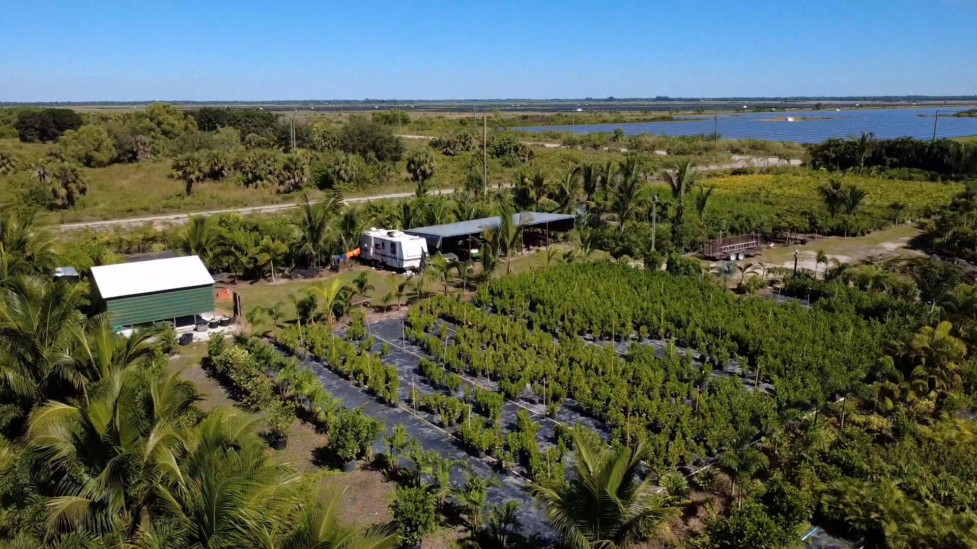 6747 W Carol Street E, Loxahatchee, FL 33470 Photo