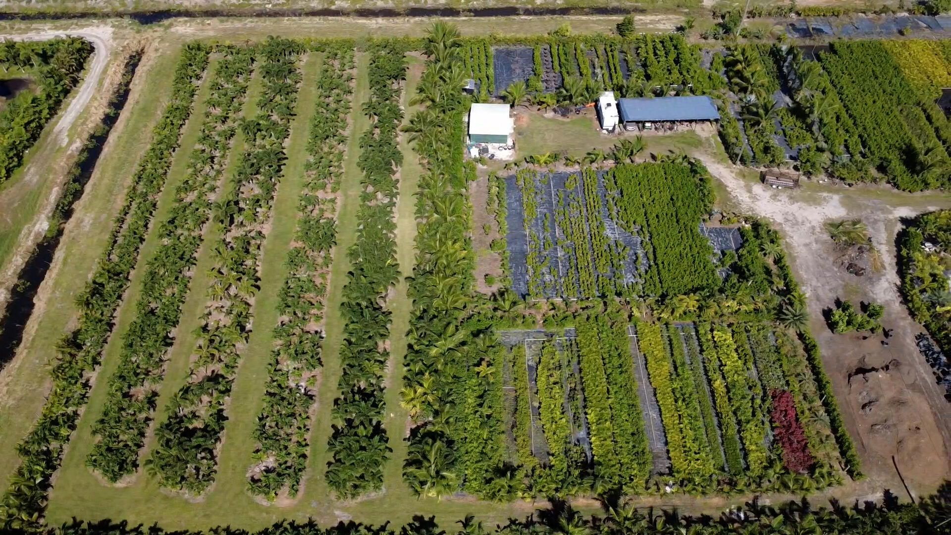 6747 W Carol Street E, Loxahatchee, FL 33470 Photo