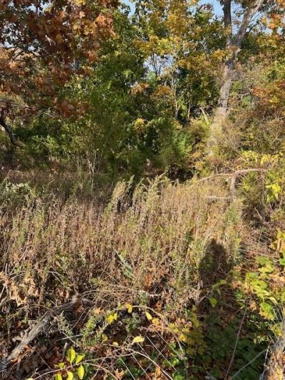 134 Old Quogue Road, Rivers Edge, NY 11901 Main Photo