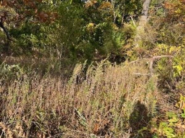 134 Old Quogue Road, Riverside, NY 11901